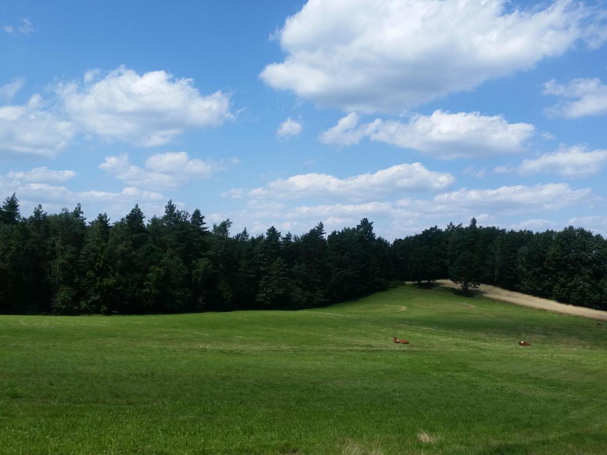 Biały