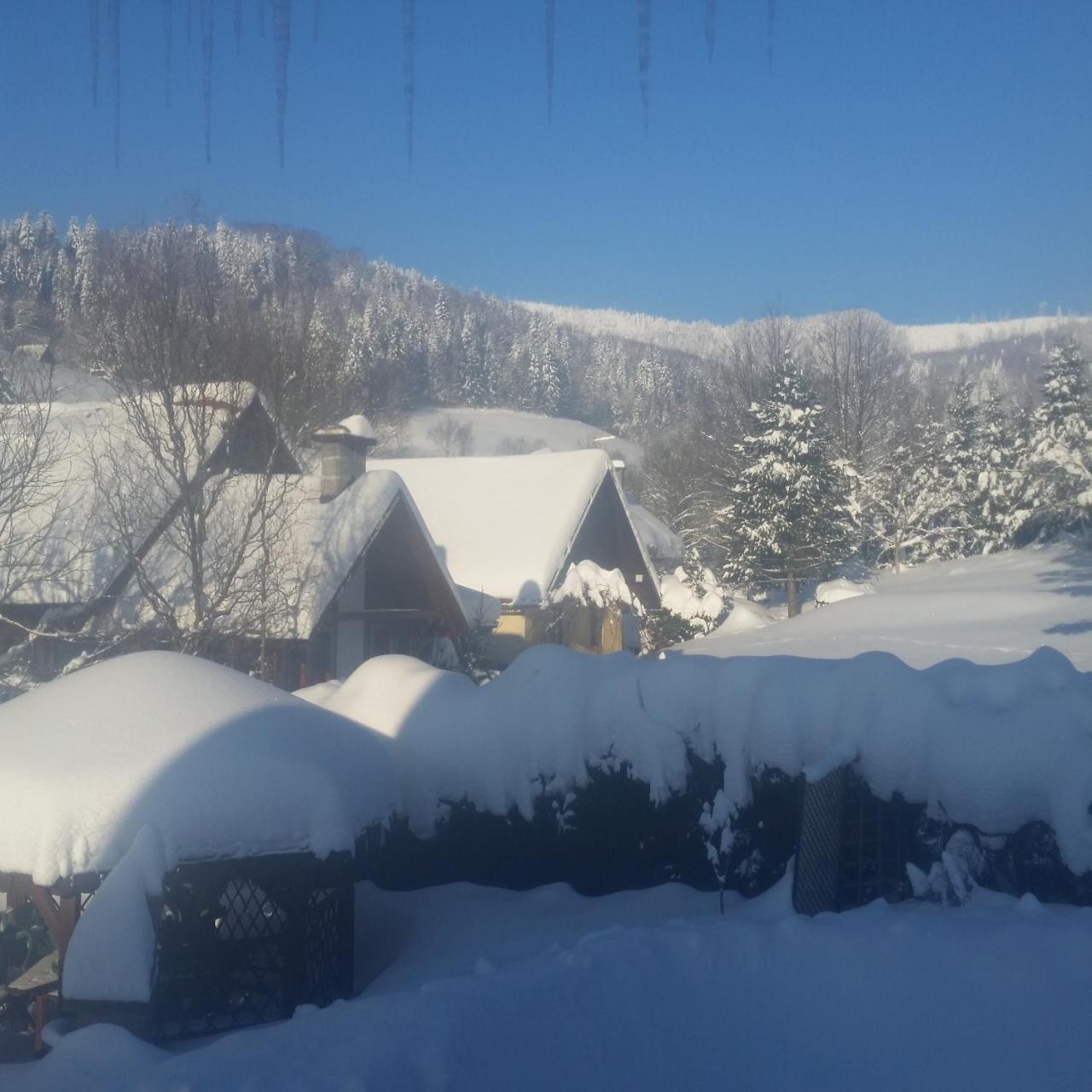 Homestay Bialy