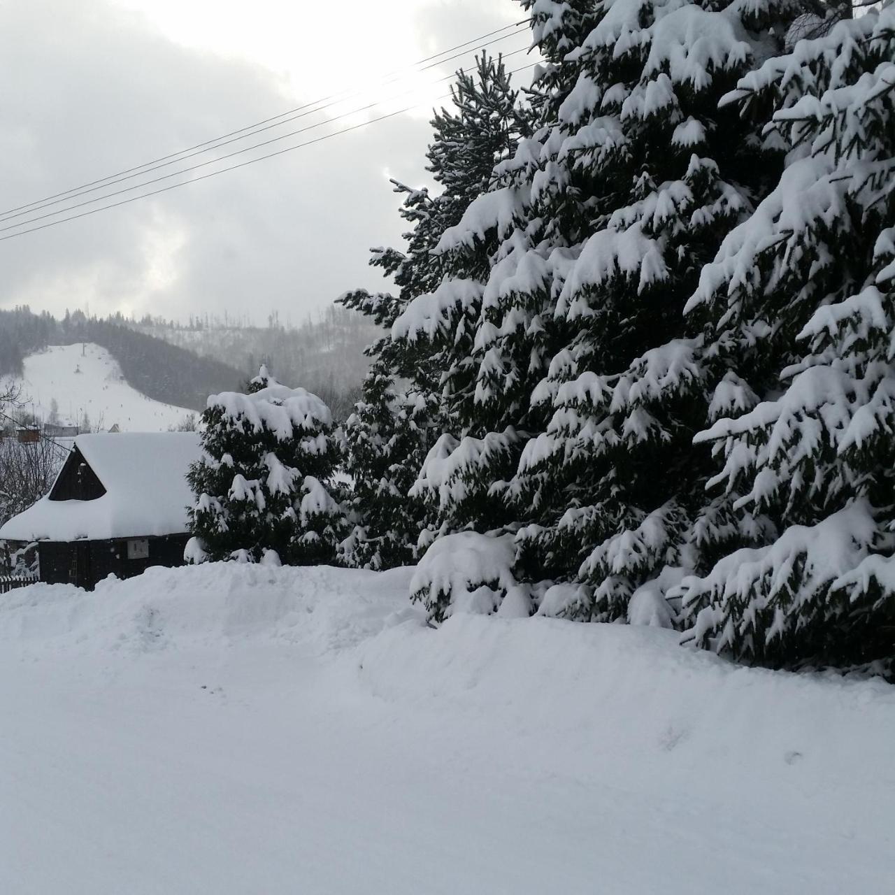 Bialy Homestay Wisla
