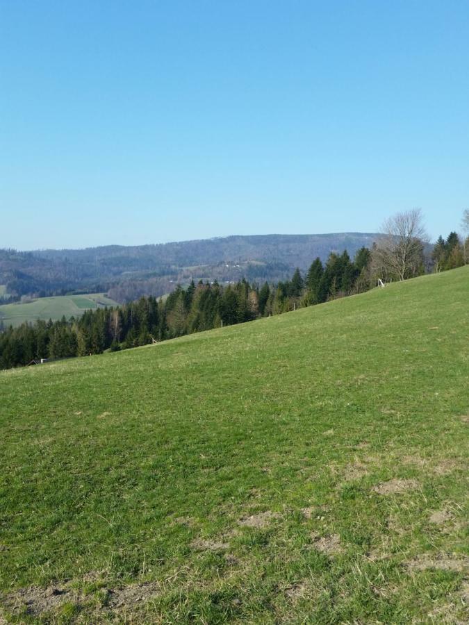 Biały *