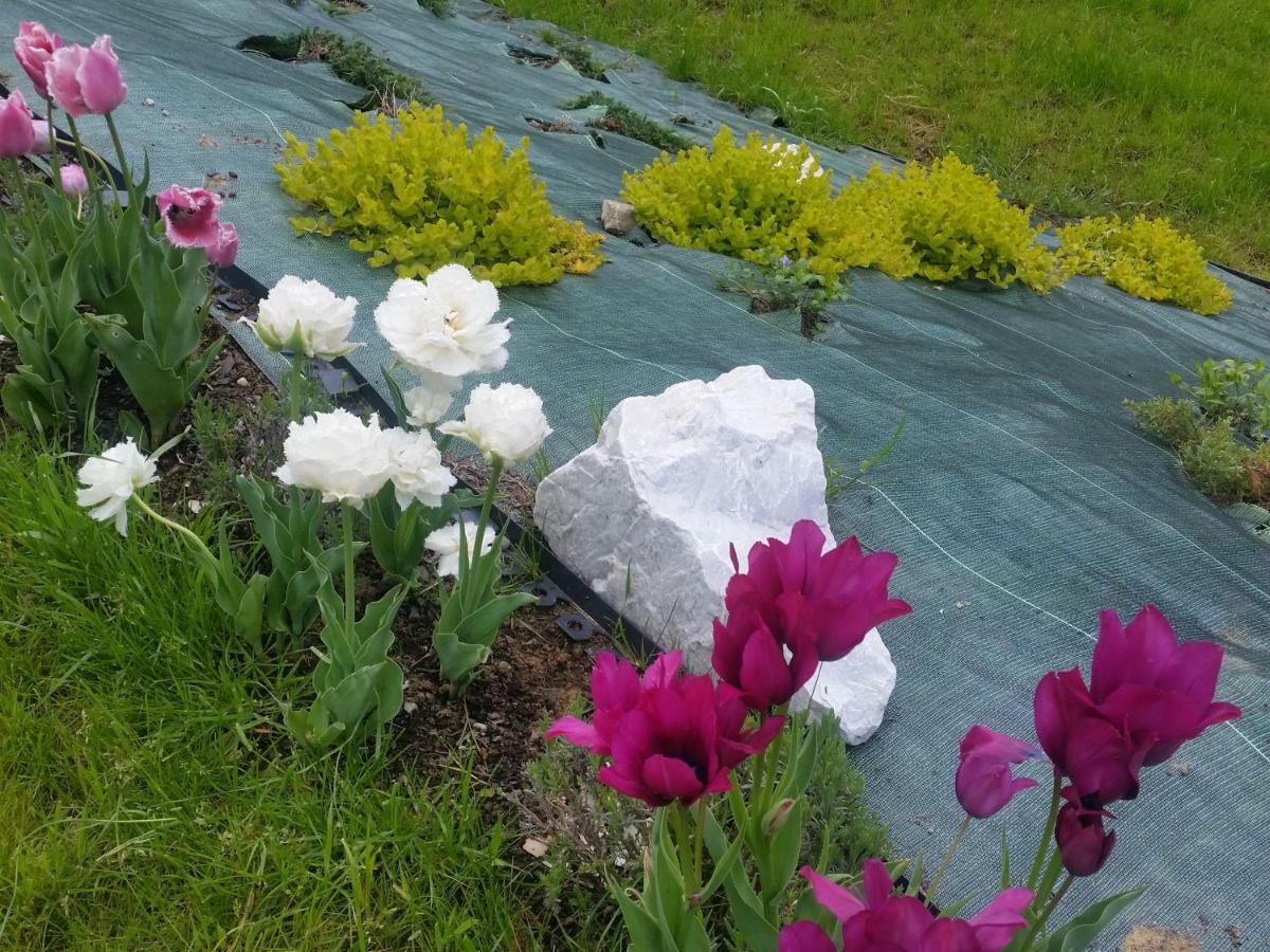 Bialy Homestay Wisla