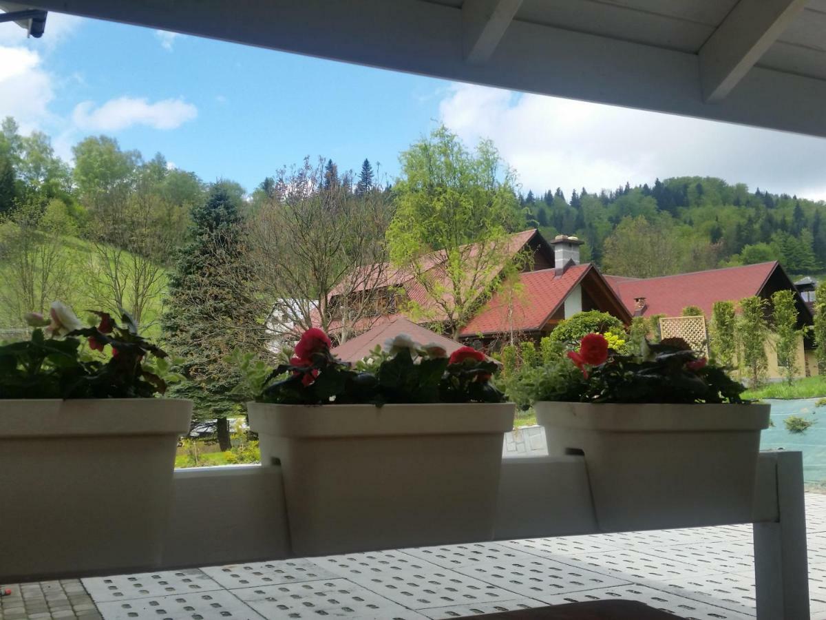 Homestay Bialy